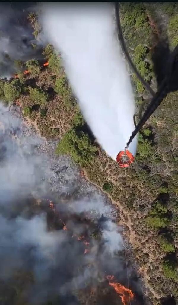 Muğla Marmaris'te ormanlık alanda çıkan yangın kontrol altına alındı!-4