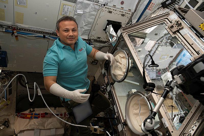 Alper Gezeravcı'nın Uluslararası Uzay İstasyonu’nda yürüttüğü çalışmalardan bir kare
