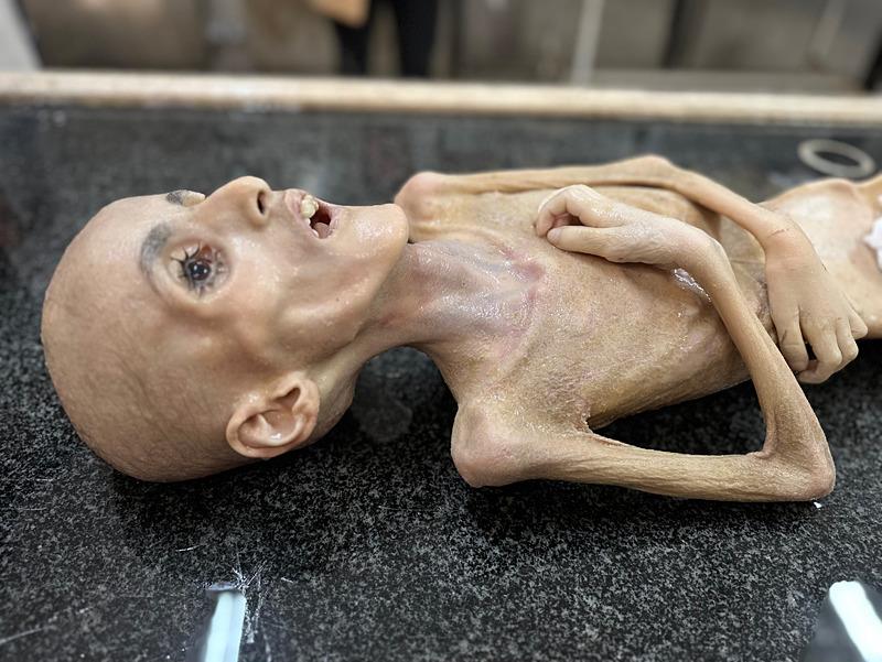 CANLI TAKİP | Soykırımcı İsrail Gazze'ye gıda götüren 14 yardım tırını durdurdu-4