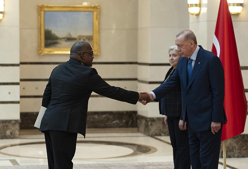 Namibya Büyükelçisi Martin Andjaba, Başkan Erdoğan'a güven mektubunu sundu 