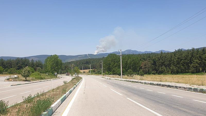 bursada-orman-yangini-havadan-karadan-mudahale-1717500446095.jpeg Bursa'da orman yangını: Havadan karadan müdahale! 100 hektar orman alanı zarar gördü! Çok sayıda araç müdahale ediyor-2