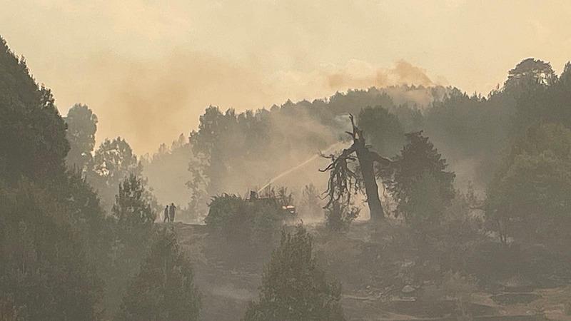 Bolu'nun Gerede ilçesinde yangının ormanlık alana sıçraması nedeniyle bir köy tahliye edildi