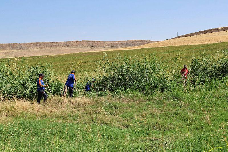 Diyarbakır'da kaybolan 8 yaşındaki Narin'i arama çalışmaları 9'uncu gününde sürüyoR.