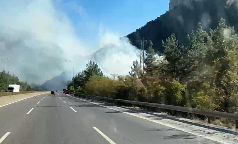 Mersin'de orman yangını (DHA)