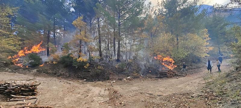 Osmaniye'de orman yangını (Fotoğraf: DHA)