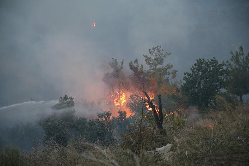 Hatay'da orman yangını (AA)