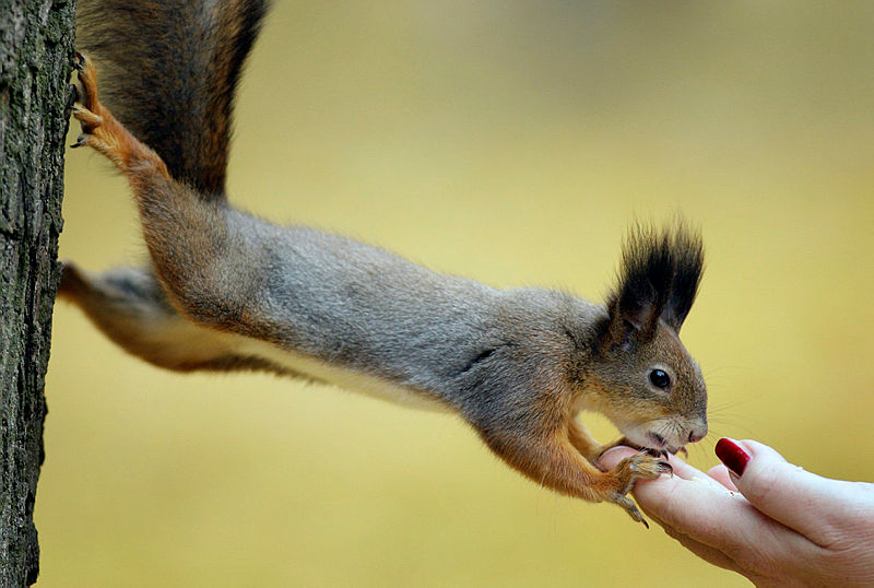 (Takvim Foto Arşiv)