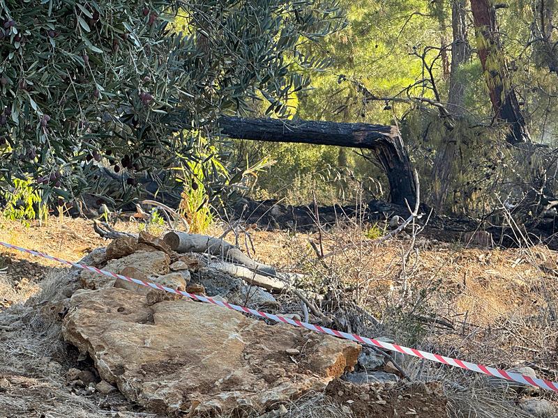 Antalya'nın Alanya ilçesinde bir hava aracının ormanlık alana düştüğü bilgisi üzerine olay yerine ekipler yönlendirildi. (DHA)