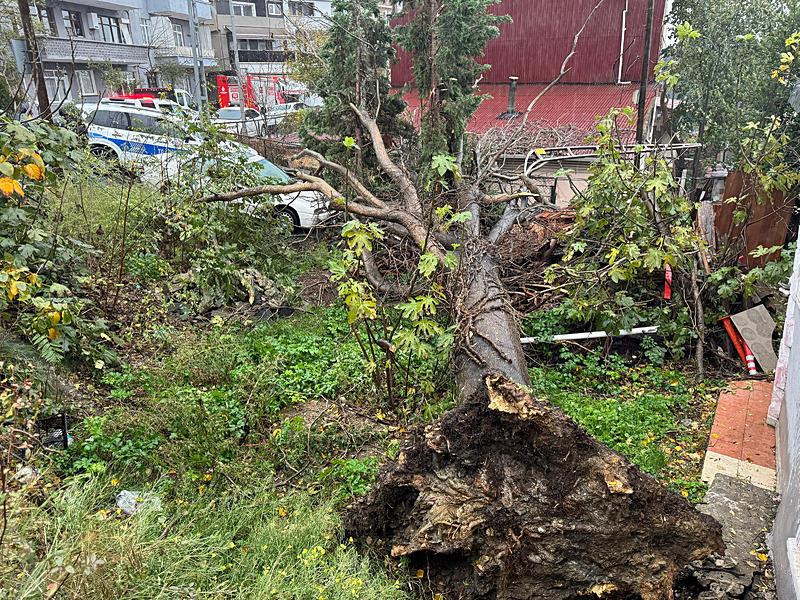 İstanbul'da sağanak ve fırtına etkisini arttırdı! Ağaçlar devrildi, cadde ve sokakları su bastı, araçlar mahsur kaldı (AA)