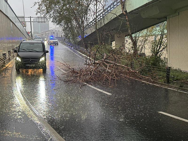 İstanbul'da sağanak ve fırtına etkisini arttırdı! Ağaçlar devrildi, cadde ve sokakları su bastı, araçlar mahsur kaldı (AA)