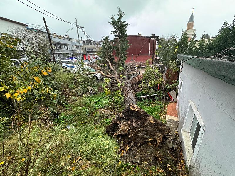 İstanbul'da sağanak ve fırtına etkisini arttırdı! Ağaçlar devrildi, cadde ve sokakları su bastı, araçlar mahsur kaldı (AA)