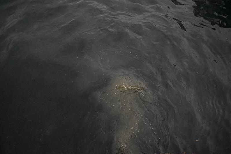 Çengelköy Mahallesi Kuleli Caddesi'ndeki sahilde yağışın da etkisiyle kanalizasyon suyu denize aktı.  (AA)