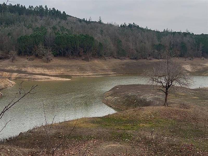 Yalova'da içme suyu arıtma tesisinde oluşan köpüklenme nedeniyle başlatılan soruşturma kapsamında tutuklanan köy muhtarı Yüksel T.'nin aracının Kurtköy Deresi çevresinde görüldüğü anların kamera görüntüsü ortaya çıktı. (Fotoğraf: DHA)