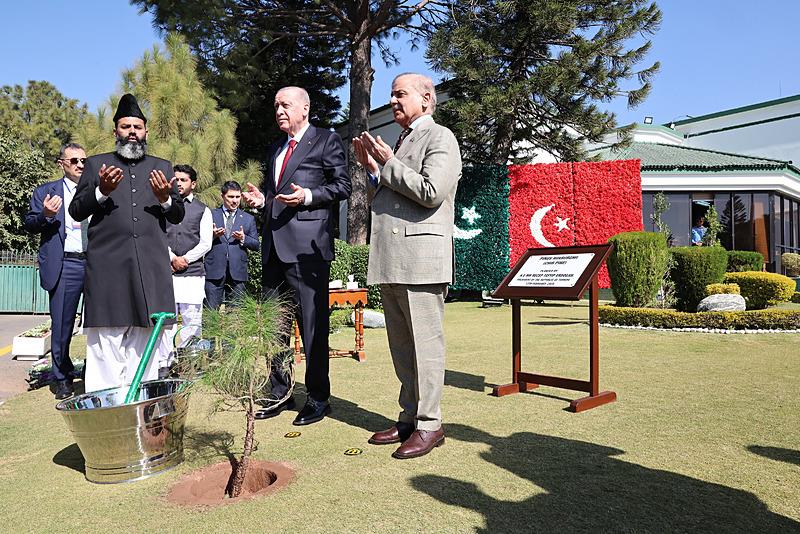 Başkan Erdoğan ve Şerif, fidan dikimi gerçekleştirdi (Fotoğraf: AA)