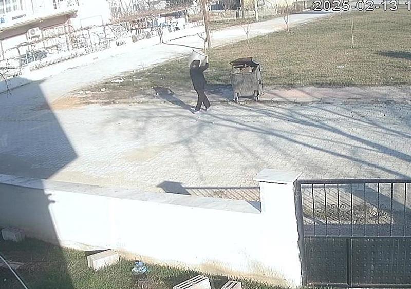 Ayaklarını bağladığı köpeği çöp konteynerine attı. (DHA)
