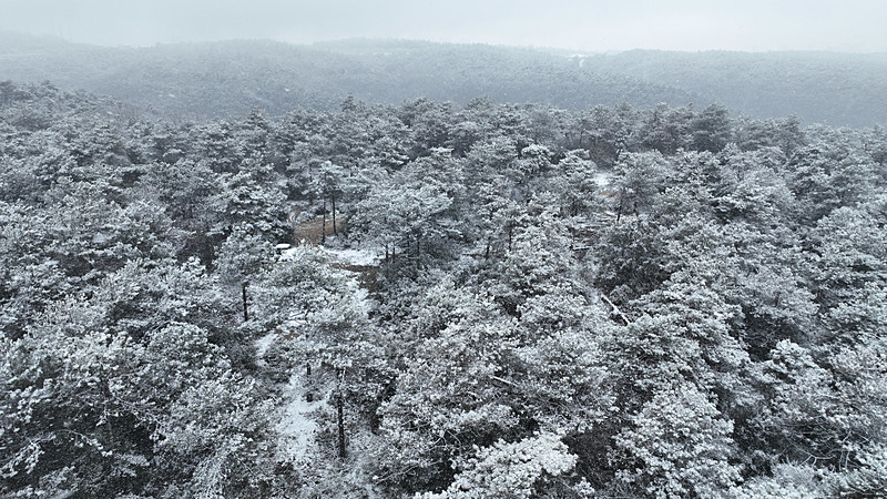 (Takvim Foto Arşiv)