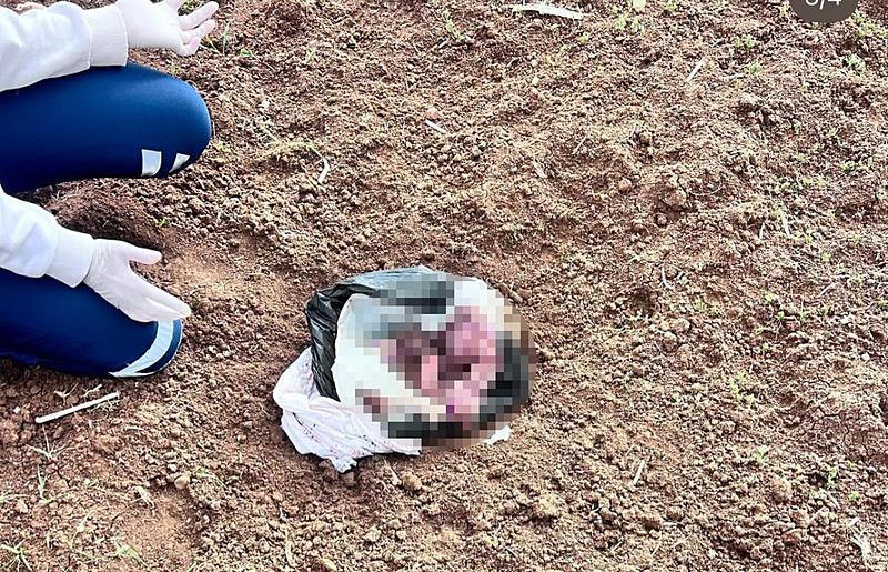 Şırnak'ın Silopi ilçesinde, yeni doğmuş bebeğini iple boğarak öldürüp, cesedini poşete koyarak araziye atan anne ve ona yardım eden 1 şüpheli, yakalanarak tutuklandı. (DHA)