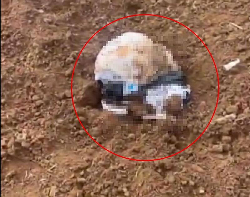 Şırnak'ın Silopi ilçesinde, yeni doğmuş bebeğini iple boğarak öldürüp, cesedini poşete koyarak araziye atan anne ve ona yardım eden 1 şüpheli, yakalanarak tutuklandı. (DHA)