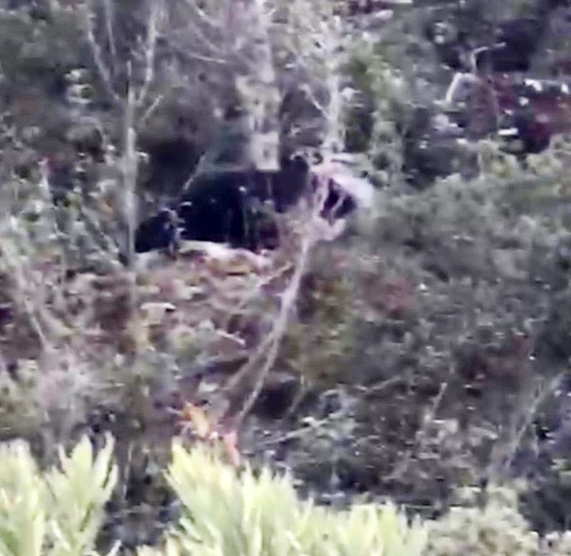 'Kesik baş' cinayeti 4 yıl sonra aydınlatıldı (DHA)