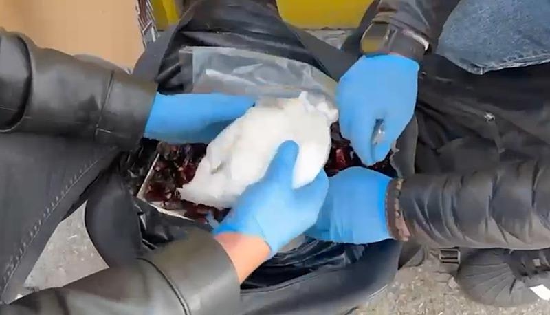 Kutudaki hurmalar arasından uyuşturucu çıktı: 5 gözaltı (DHA)