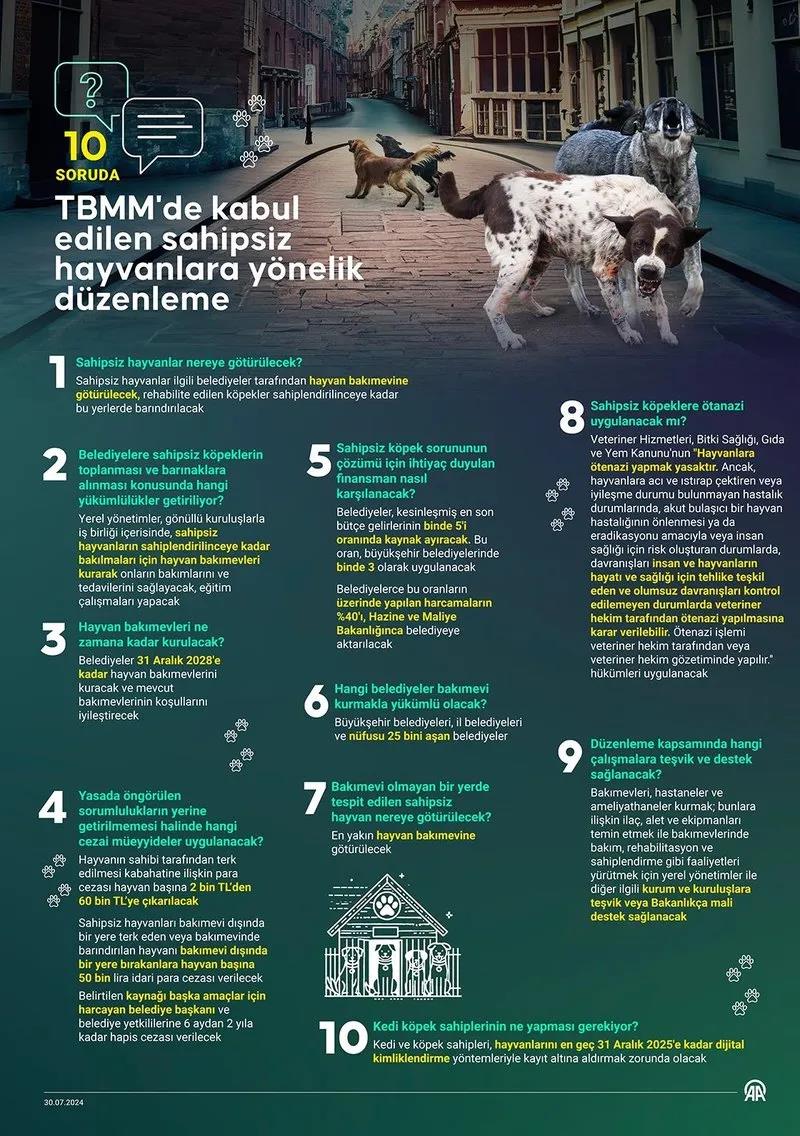 TBMM'de kabul edilen sahipsiz hayvanlara yönelik düzenleme (Takvim.com.tr Arşiv)