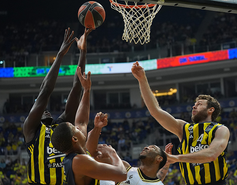 Fenerbahçe Beko ASVEL'i devirdi (AA)