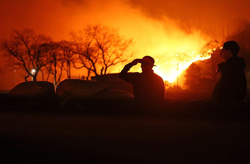Güney Kore'de yangınlar, EPA