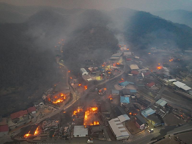 Güney Kore'de yangınlar, Reuters