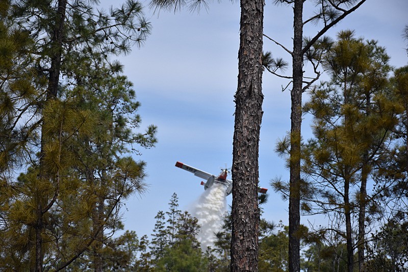 ABD'nin North Carolina eyaletindeki orman yangınları. (AA-Arşiv)