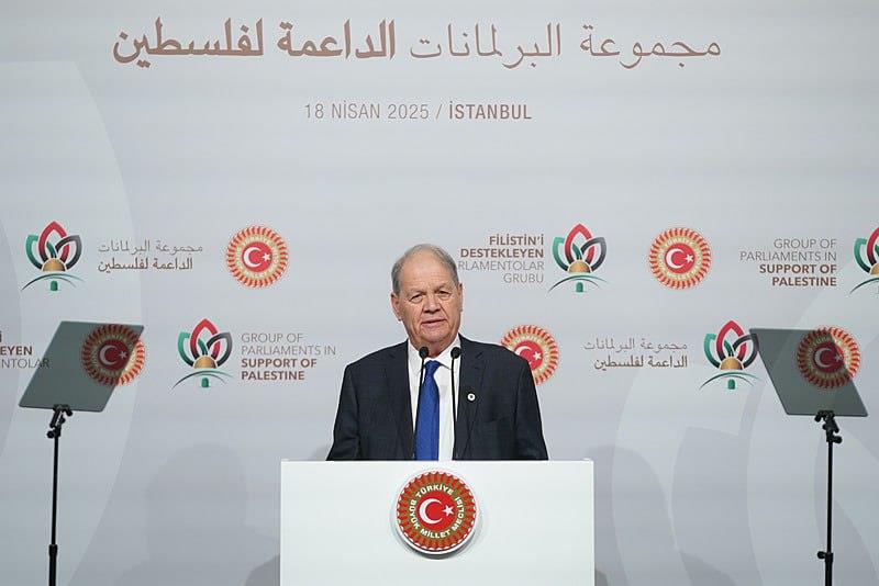 Filistin Kurtuluş Örgütü (FKÖ) Ulusal Konseyi Başkanı Ruhi Futuh, AA