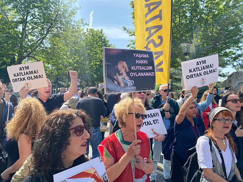 Sokak hayvanı destekçileri hayvan yasasının iptali ve yürürlüğünün durdurulmasını gündemine alan Anayasa Mahkemesi (AYM) önünde eylem yaptı (Fotoğraf: DHA)