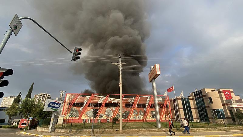 Mersin'de elektronik eşya üreten fabrikada yangın çıktı. (İHA)
