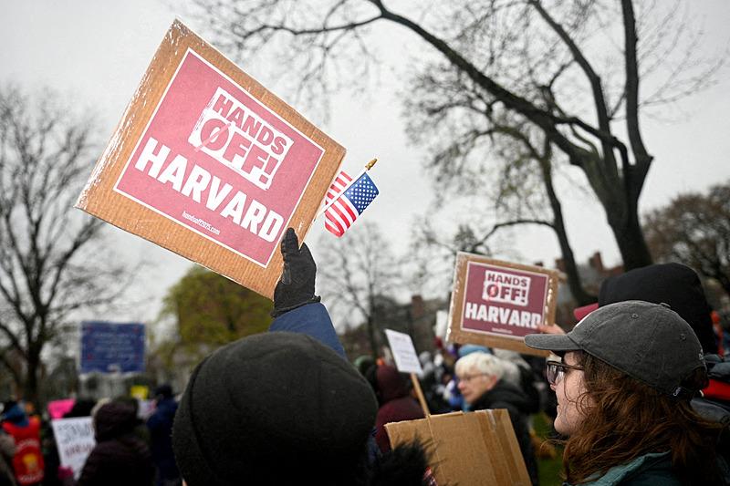 Harvard'da Filistin eylemi, AFP