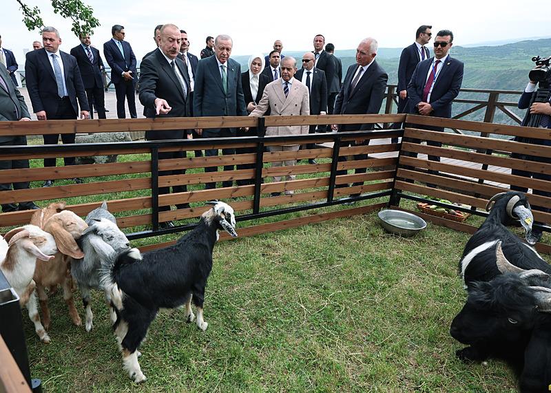 Başkan Recep Tayyip Erdoğan, Azerbaycan'ın Laçın kentinde düzenlenen, ''Azerbaycan Bağımsızlık Günü'' etkinliklerine katıldı 