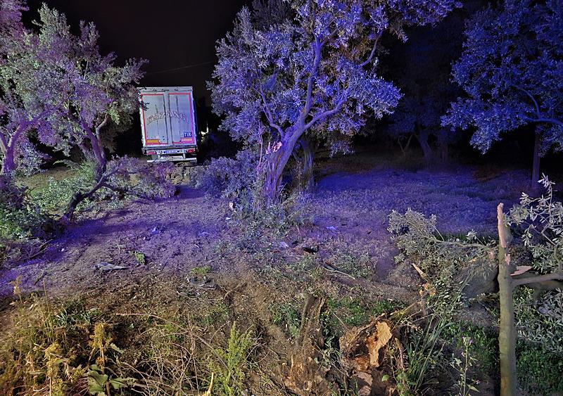 Bursa'da bir kişi çiftlik evinde öldürülmüş halde bulundu (Fotoğraf: AA)