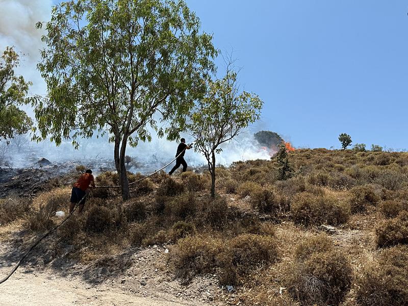 Bodrum Göltürkbükü'nde makilik yangını: Havadan karadan müdahale!-2