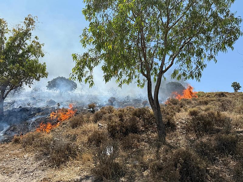 Bodrum Göltürkbükü'nde makilik yangını: Havadan karadan müdahale!-3