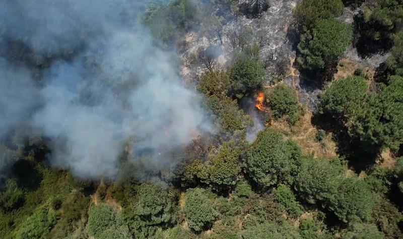 İstanbul'da Sultangazi Kent Ormanı'nda yangın! Çok sayıda ekip bölgede (İHA)