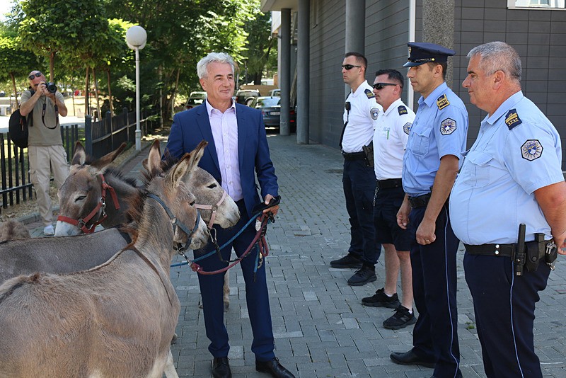 Kosova Meclisinde eşekli protesto, AA