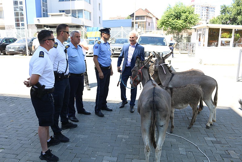 Kosova Meclisinde eşekli protesto, AA