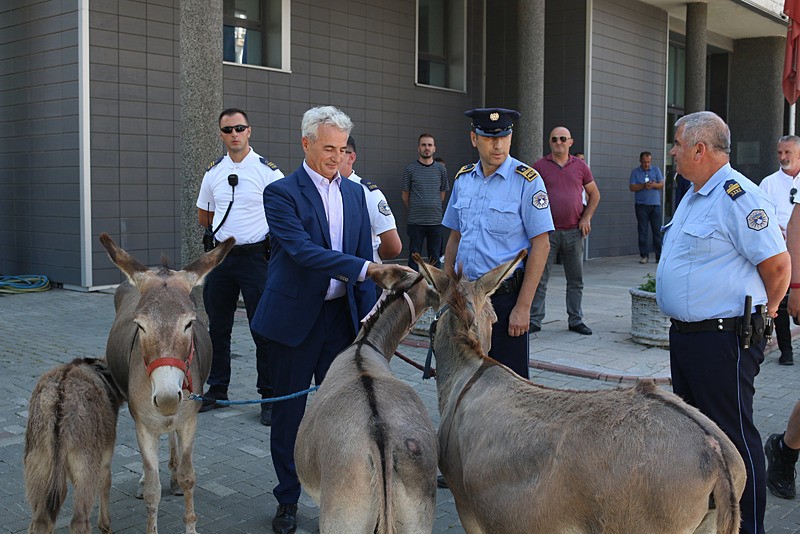 Kosova Meclisinde eşekli protesto, AA