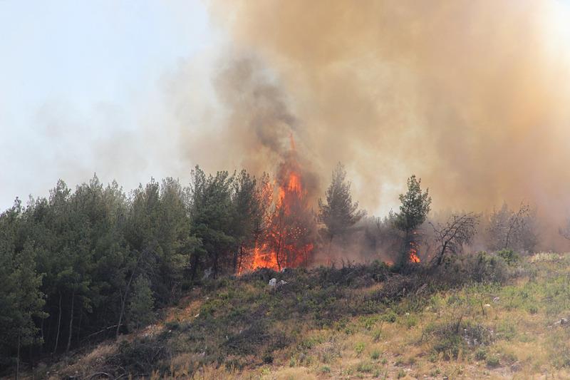 Bakan Göktaş: Yangınlardan etkilenen hanelere 12 milyon 260 bin lira kaynak aktardık. (Takvim.com.tr)