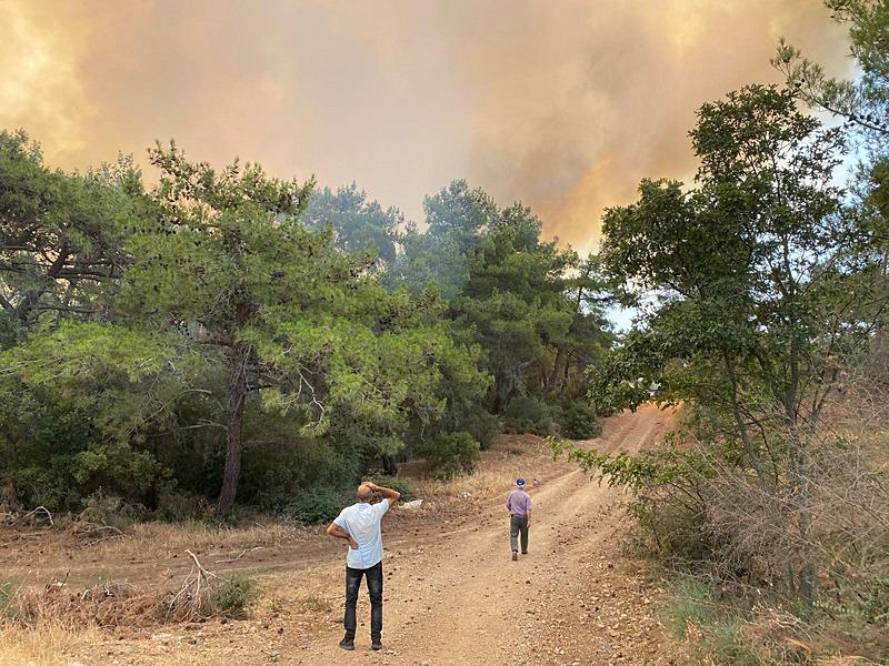 Çanakkale'de orman yangını çıktı (AA)