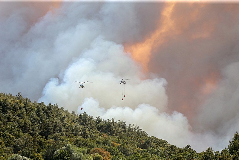 Bursa'da orman yangını (AA)