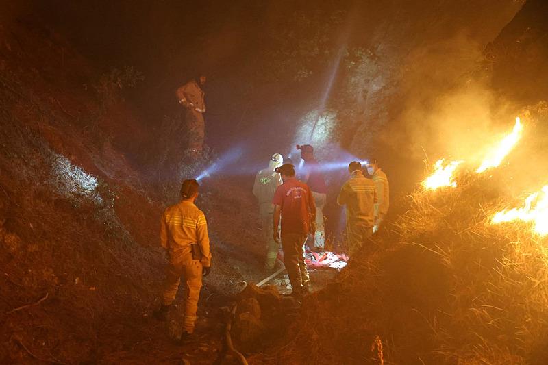 Aydın'da orman yangını 2'nci gününde (takvim foto arşiv)
