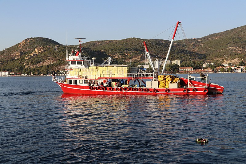 İzmirli balıkçılar gece yarısı ʺvira bismillahʺ diyecek