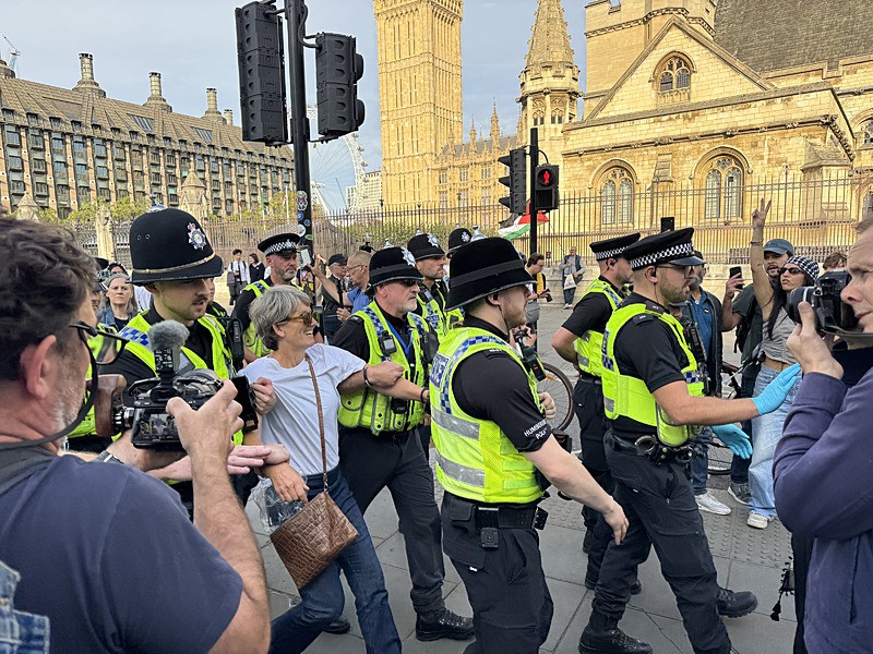 İngiltere’de Filistin eylemine müdahale! Polis protestocuları yaka paça gözaltına aldı. (AA)