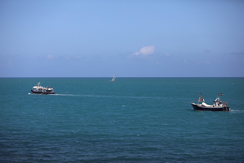 Küresel Sumud Filosu, AA