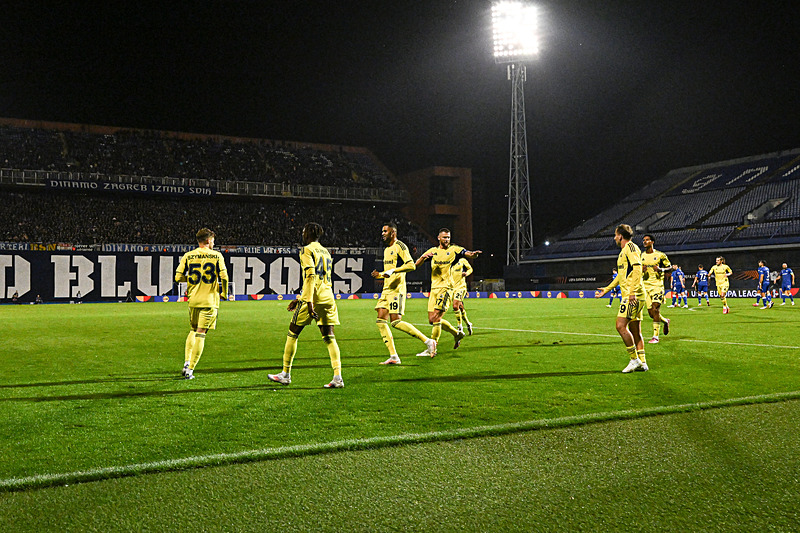 Fenerbahçe'nin gol sevicni (AA)
