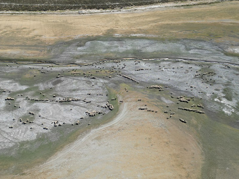 Niğde'deki barajların doluluk oranı kuraklık nedeniyle düştü. (AA)
